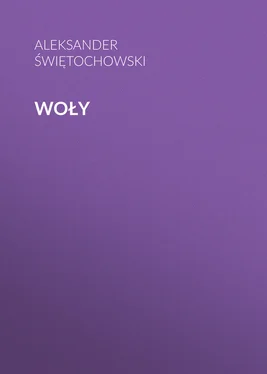 Aleksander Świętochowski Woły обложка книги