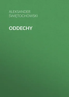 Aleksander Świętochowski Oddechy обложка книги