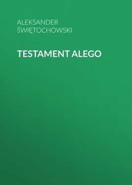 Aleksander Świętochowski Testament Alego обложка книги