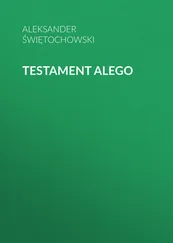 Aleksander Świętochowski - Testament Alego