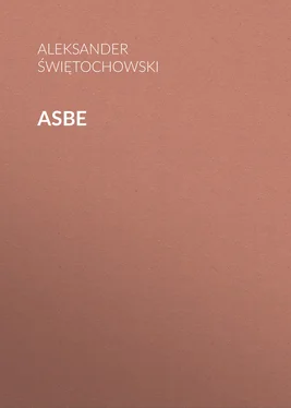 Aleksander Świętochowski Asbe обложка книги