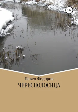 Павел Федоров Чересполосица обложка книги