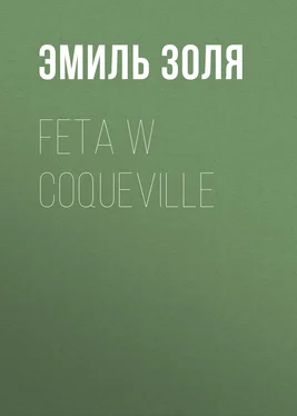 Emil Zola Feta w Coqueville обложка книги