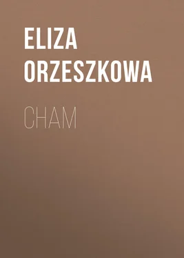 Eliza Orzeszkowa Cham обложка книги