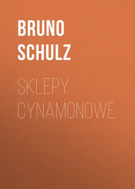 Bruno Schulz Sklepy cynamonowe обложка книги