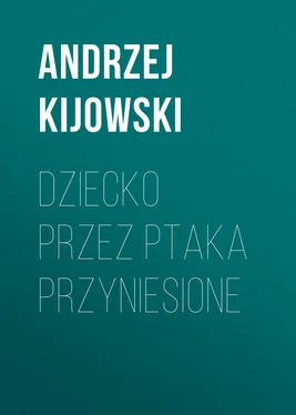 Andrzej Kijowski Dziecko przez ptaka przyniesione обложка книги