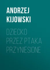 Andrzej Kijowski - Dziecko przez ptaka przyniesione