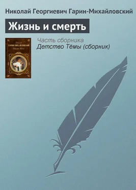 Николай Гарин-Михайловский Жизнь и смерть обложка книги