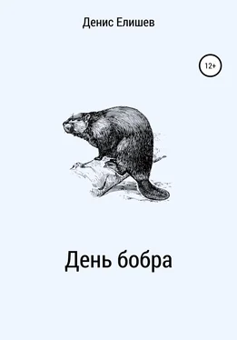 Денис Елишев День бобра обложка книги