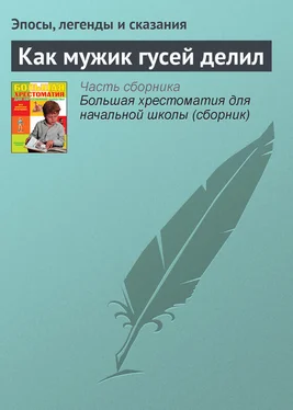 Эпосы, легенды и сказания Как мужик гусей делил обложка книги