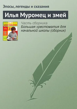 Эпосы, легенды и сказания Илья Муромец и змей обложка книги
