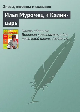 Эпосы, легенды и сказания Илья Муромец и Калин-царь обложка книги