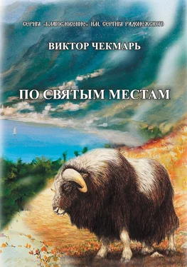 Виктор Чекмарь По святым местам обложка книги