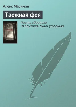 Алекс Маркман Таежная фея обложка книги