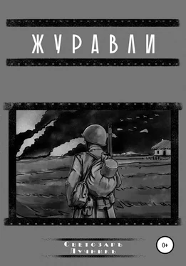 Светозаръ Лучникъ Журавли обложка книги