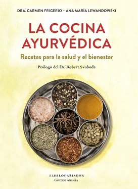 Carmen Frigerio La cocina ayurvédica обложка книги