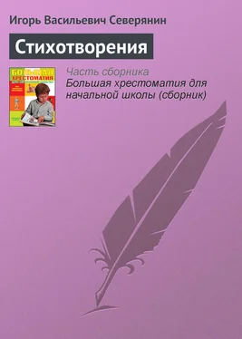 Игорь Северянин Стихотворения обложка книги