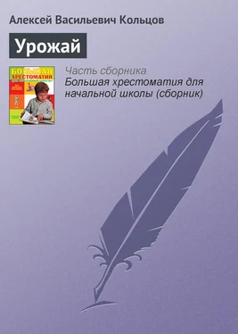 Алексей Кольцов Урожай обложка книги