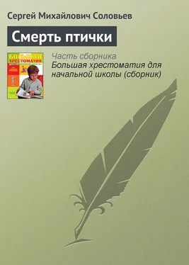 Сергей Соловьев Смерть птички обложка книги