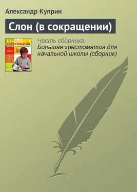 Александр Куприн Слон (в сокращении) обложка книги