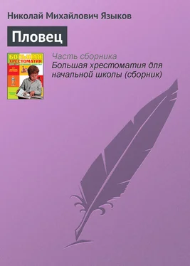 Николай Языков Пловец обложка книги