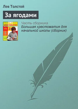 Лев Толстой За ягодами обложка книги