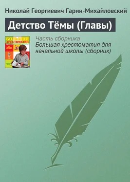 Николай Гарин-Михайловский Детство Тёмы (Главы) обложка книги