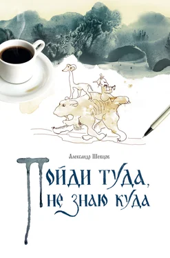 Александр Шевцов Пойди туда, не знаю куда. Книга 1 обложка книги