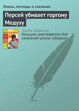 Эпосы, легенды и сказания Персей убивает горгону Медузу обложка книги