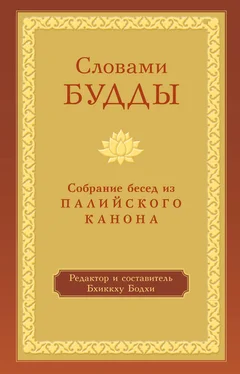 Бхиккху Бодхи Словами Будды. Собрание бесед из Палийского канона обложка книги