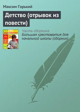 Максим Горький Детство (отрывок из повести) обложка книги