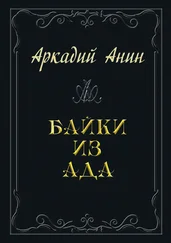 Аркадий Анин - Байки из ада (сборник)