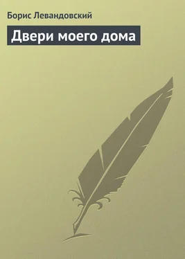 Борис Левандовский Двери моего дома обложка книги