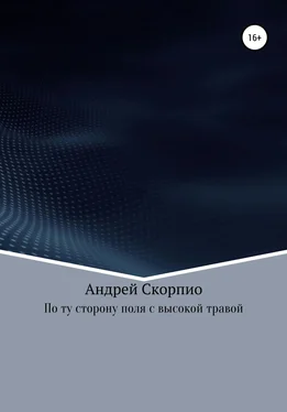 Андрей Скорпио По ту сторону поля с высокой травой обложка книги