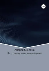 Андрей Скорпио - По ту сторону поля с высокой травой