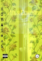 Илья Соколов - НОВАтель