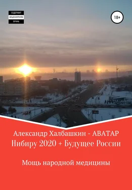 Александр Халбашкин Нибиру – 2020 + Будущее России Мощь народной медицины