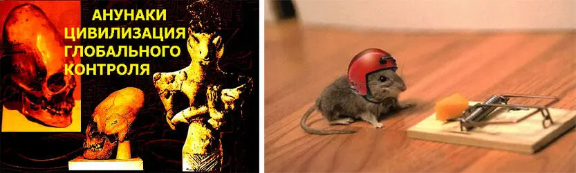 Если бы русские знали свою силу никто бы не мог соперничать с ними Ричард - фото 37