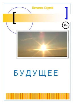 Сергей Пятыгин Будущее обложка книги