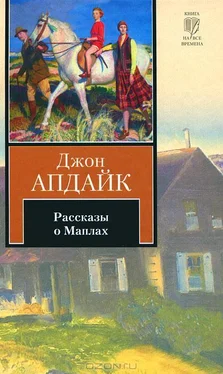 Джон Апдайк Рассказы о Маплах обложка книги