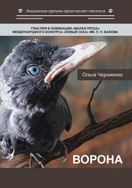 Ольга Черниенко Ворона обложка книги
