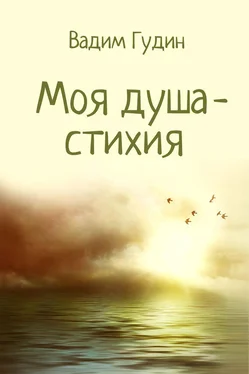 Вадим Гудин Моя душа – стихия обложка книги
