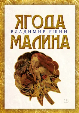 Владимир Яшин Ягода малина обложка книги