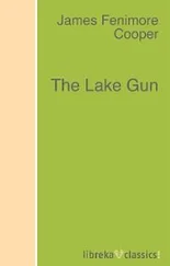 James Fenimore Cooper - The Lake Gun