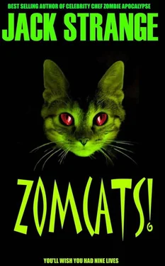 Jack Strange Zomcats! обложка книги