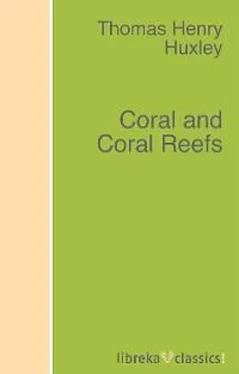 Thomas Henry Huxley Coral and Coral Reefs обложка книги