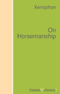 Xenophon On Horsemanship обложка книги