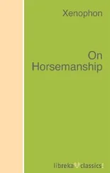Xenophon - On Horsemanship