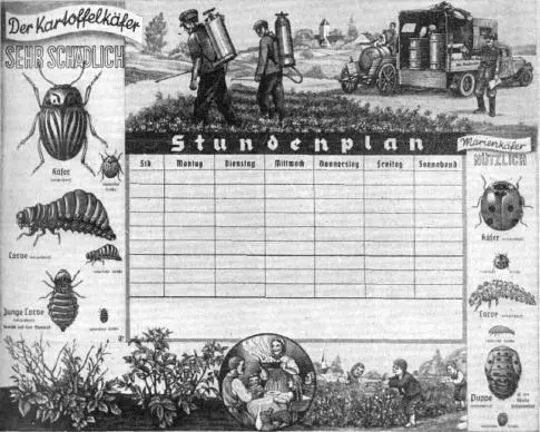 Figure 38 A 1937 elementary school chart with illustrations showing the - фото 25