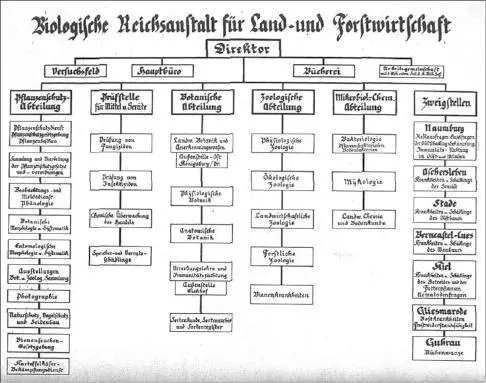 Figure 39 A 1936 organizational chart of the Biologische Reichsanstalt für - фото 26